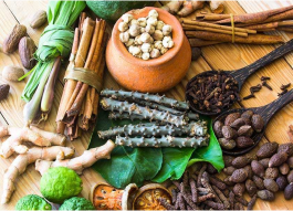 AMA and the Digestive Process