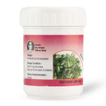 Dasamoolarasayanam 50 Gms thumbnail 2