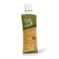 Hair & Herbal Ayurvedic Shampoo | Natural Hair Care thumbnail 2