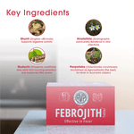 FEBROJITH TABLETS – 10 NOS. STRIPS thumbnail 5