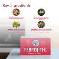 Febrojith Tablets - 10 Strips | Fever, Cough & Cold Relief thumbnail 5