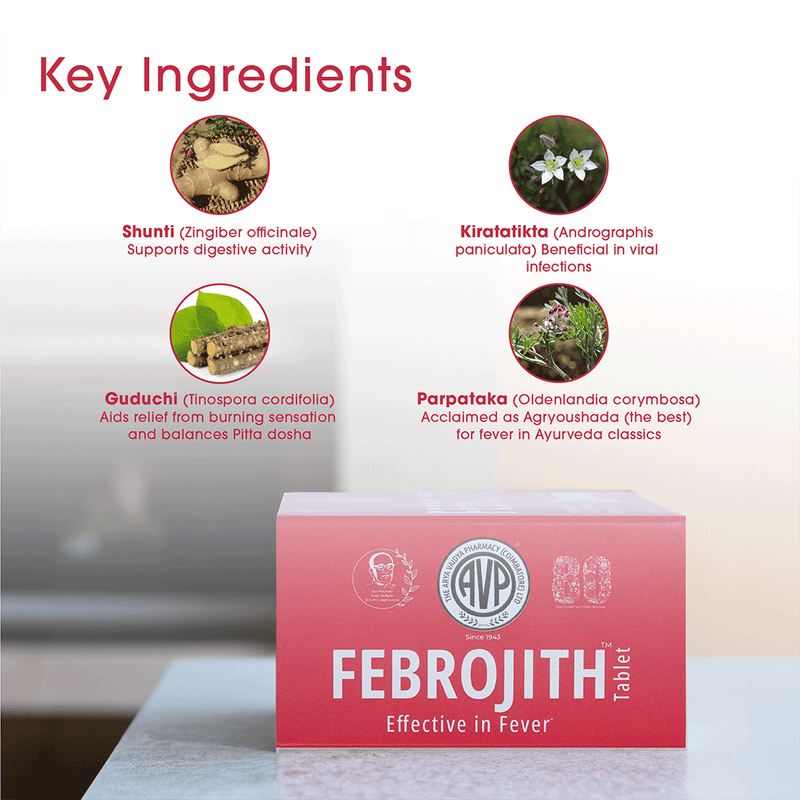 FEBROJITH TABLETS – 10 NOS. STRIPS image 5