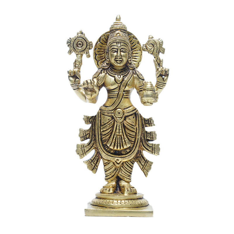 Avp Dhanwanthri Statue For Good Health And Wellness image 1