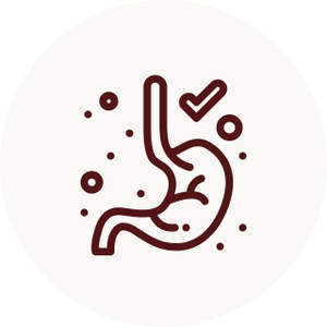 Digestion