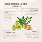 Kesini Bringadi Thailam 200ML thumbnail 4