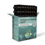Panchagavyam Gritham (Big) Capsule thumbnail 6